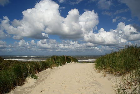Borkum, mer du Nord, plage, Côte, chemin d’accès, sable
