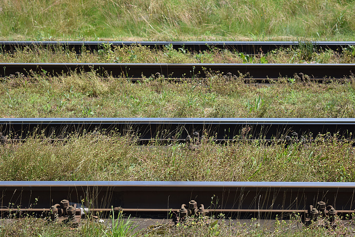Bahngleise, Eisenbahnschienen, parallel, Doppelspur, überwuchert, Grass, in der Nähe