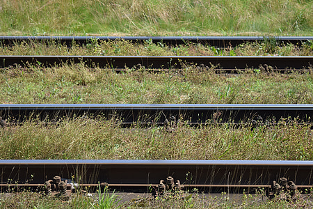 gleise, railway tracks, parallel, double track, overgrown, grass, close