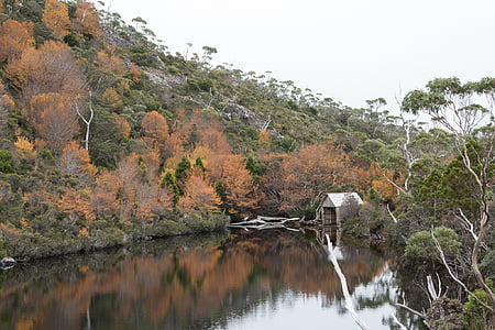 kraatteri järvi, Tasmania, maisemat, Luonto, ulkona, kansallispuisto
