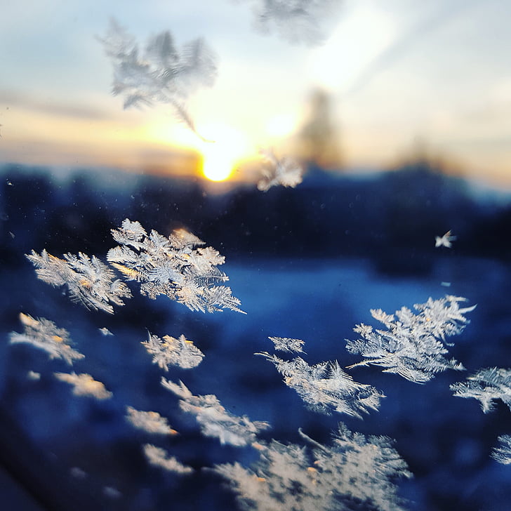 сніжинки, Фотографія, лід, сніг пластівцями, вікно, взимку, Природа