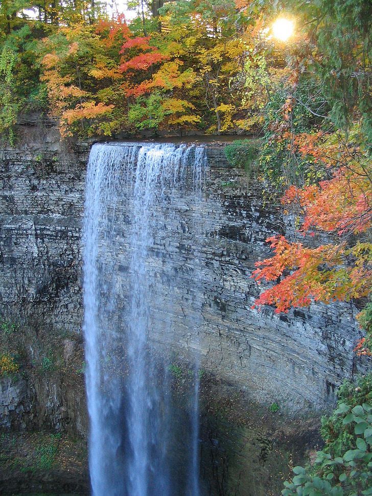 cascata, autunno, caduta, diretta streaming, foresta, natura, scarpata Niagara