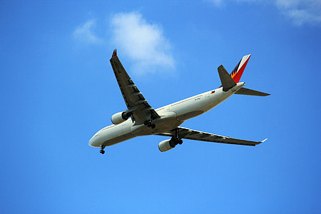 vliegtuig, Airbus, vliegen, zwaartekracht, vleugels, Philippine Airlines, commerciële
