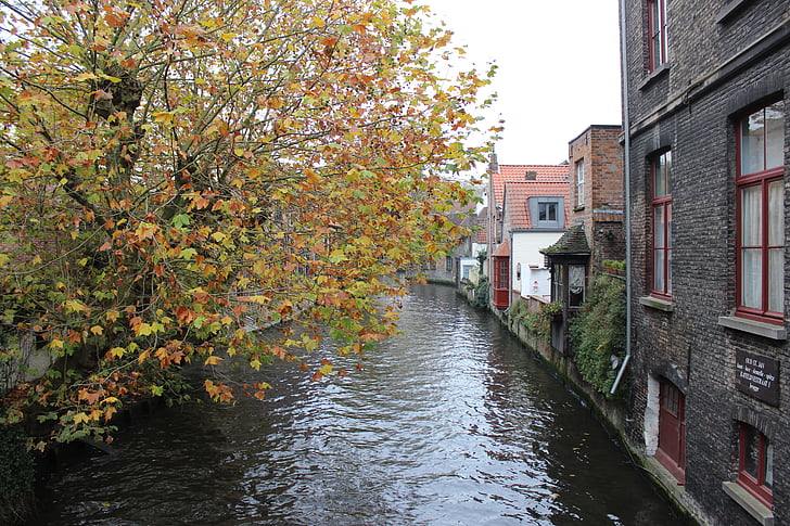 Belgien, Brugge, hösten, Canal, turism, belgiska