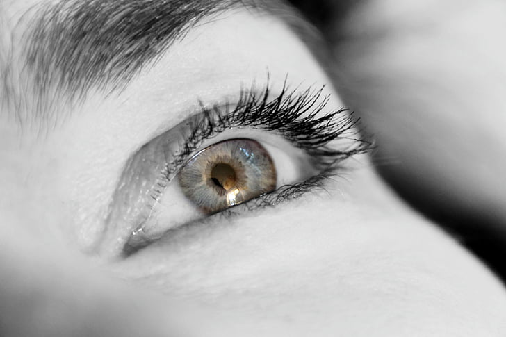 eyelashes, eye, view, close, iris, woman, human