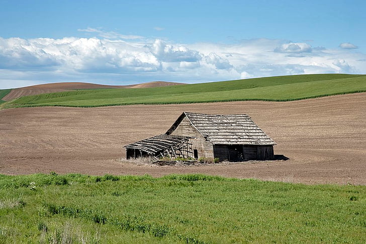 Idaho, landschap, veld, schuur, boerderij, landelijke scène, natuur