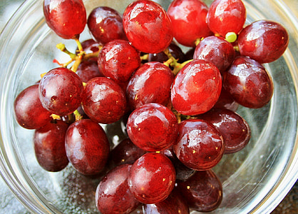 winogron, czerwony, mokra, kilka, owoce, apetyczny