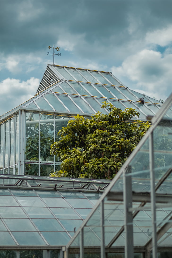 greenhouse, plants, nature, structure, glass, building, clouds