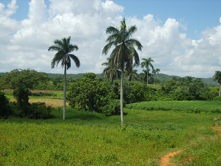 paysage, Cuba, Vinales