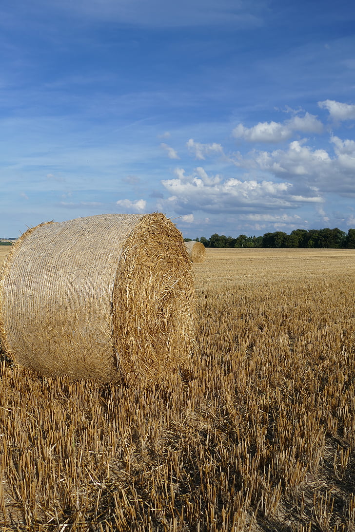 nature, hay bales, arable, cereals, field, clouds, sky