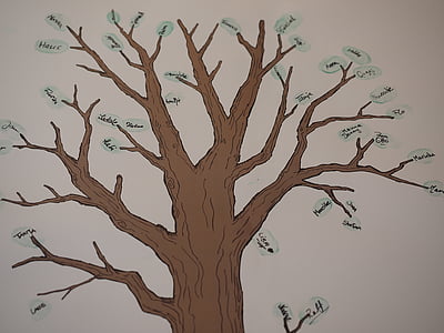 copac, arbore genealogic, Filiala, trib, strămoşi, prietenii, copac prietenii