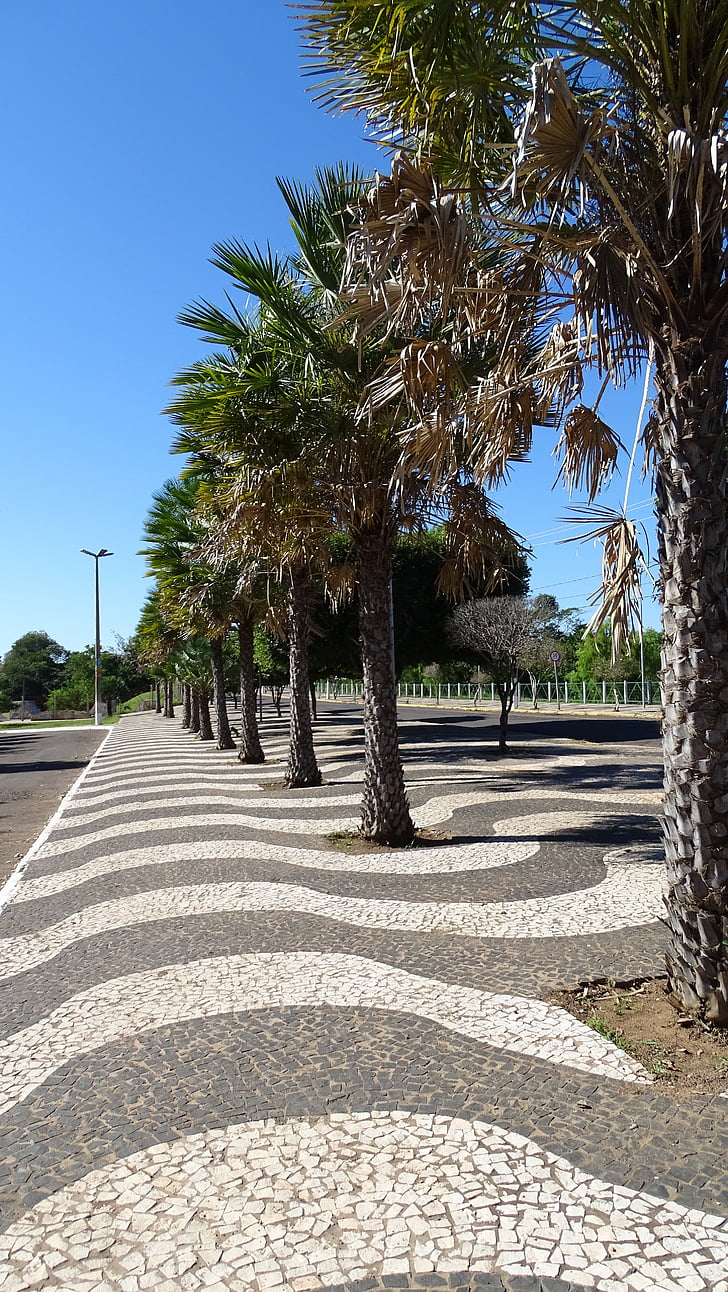 chodník, stromy, Copacabana