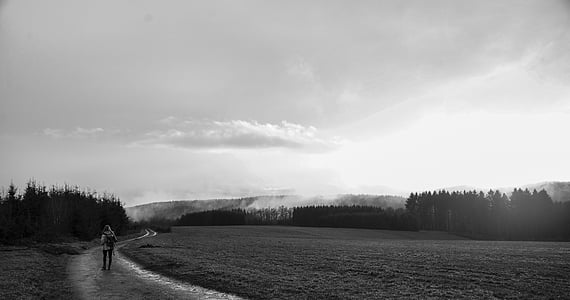 black-and-white, clouds, conifers, dirt road, field, fir trees, forest