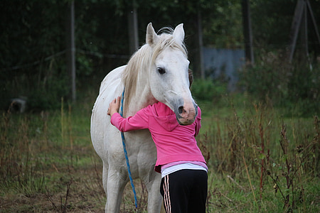 cheval, jeune fille, amitié, Stallion, moule, pâturage, pur-sang arabe