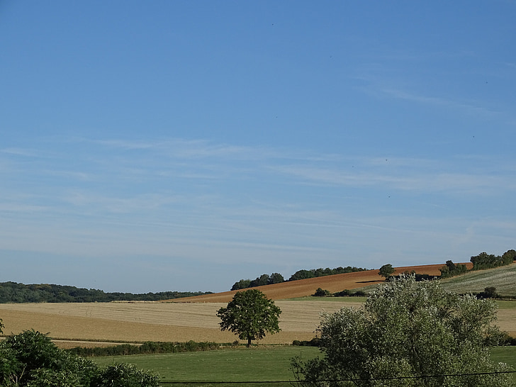 meadows, field, sky