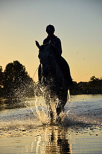 kůň, jízda, voda, Já?, Západ slunce, večer, venku