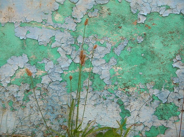 paret, natura, paisatge, planta, pedres, ruïna, color