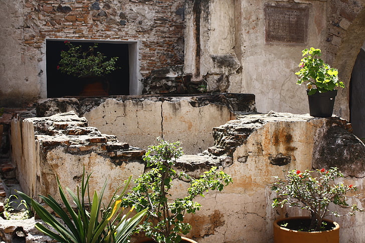 Meksyk, patio, Klasztor, rośliny
