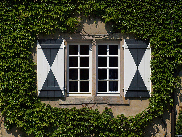 fenêtre de, vieux, romantique, ferme, vieille fenêtre, façade, Lierre