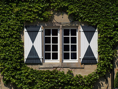 fenêtre de, vieux, romantique, ferme, vieille fenêtre, façade, Lierre