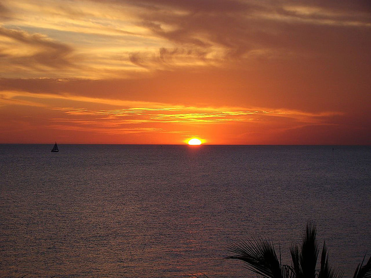 solnedgång, Ocean, vatten, Florida, träd, Palm, moln