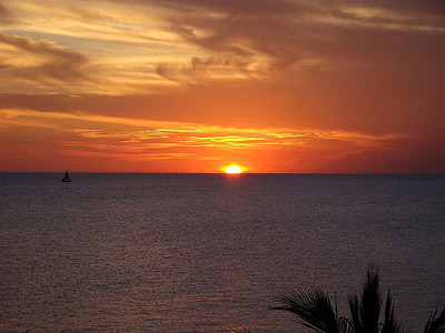 zonsondergang, Oceaan, water, Florida, boom, Palm, wolken
