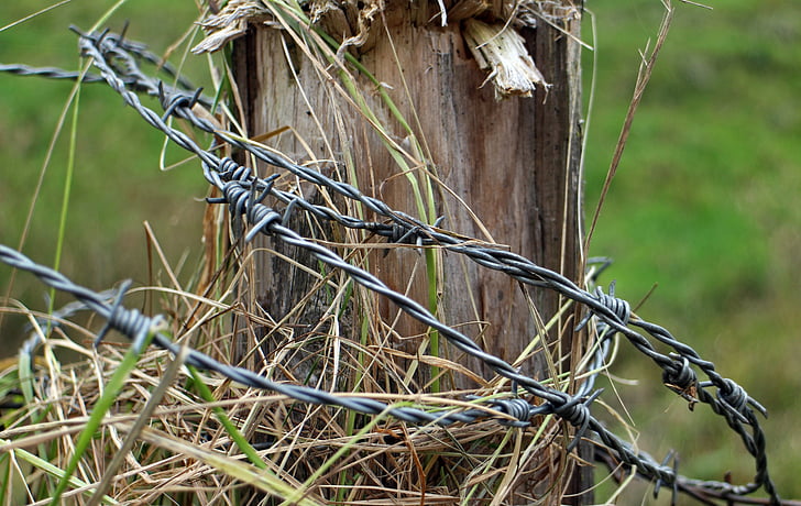 barbed wire, post, fence, pile, pasture, fence post, wood pile