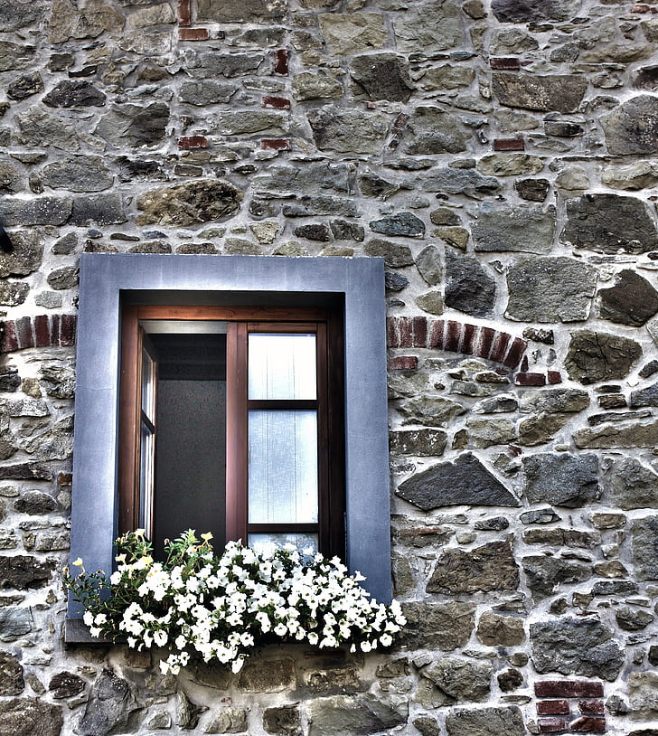 fönster, blommande fönster, hus, arkitektur, gamla fasader, Pistoia, Toscana
