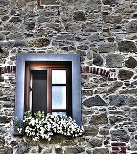 ablak, virágos ablak, ház, építészet, régi homlokzat, Pistoia, Toszkána
