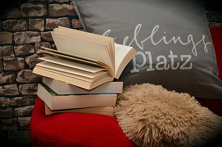 books, book, read, relax, sofa, pillow, literature