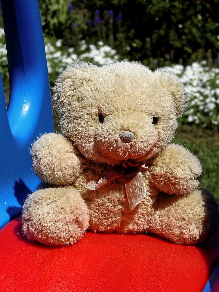 плюшевий ведмедик, Тедді, м'яка іграшка, Опудала тварин, ведмеді, Опудала тварин, ведмідь