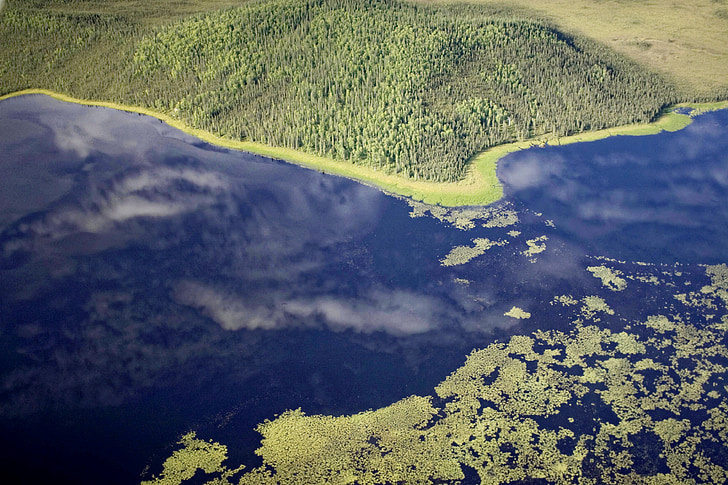 Luftbild, Fluss, Seen, Wald, Tetlin national Wildlife refuge, Landschaft, Foto