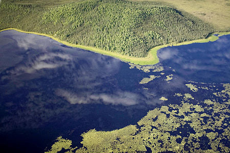 aèria, riu, llacs, bosc, refugi de vida silvestre Nacional Tetlin, paisatge, fotografia
