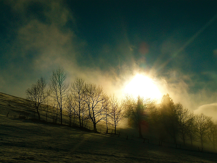 winter mood, nature, sun, clouds, mood, tree, forest
