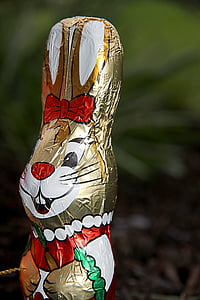 巧克力, 甜蜜, 可可, 复活节兔子, 蕾, 野兔, staniol