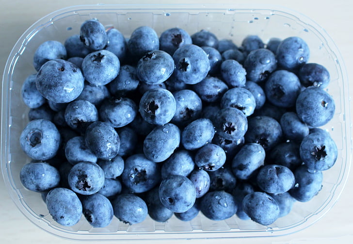 blåbær, bær, frukt, vitaminer, deilig, beholder, plast