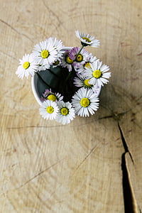 daisy, vase, close, flowers, deco, wildflowers, table