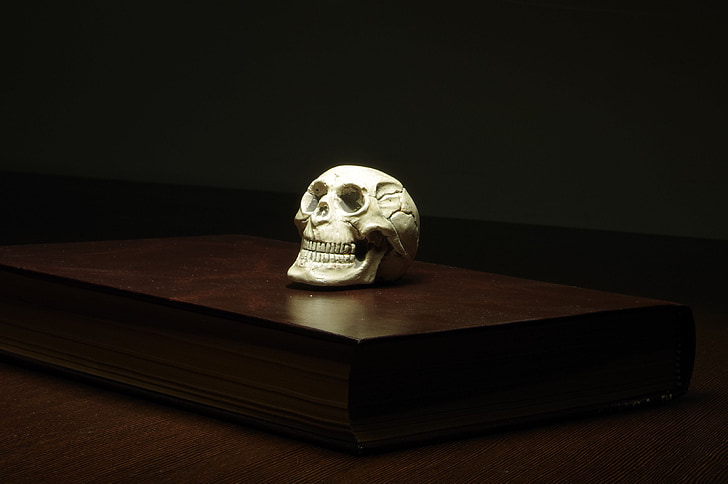 paper, skull, mystery, paperweight