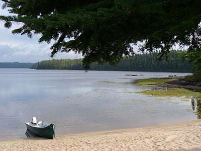 lake, shore, beach, boat, canoe, landscape, water