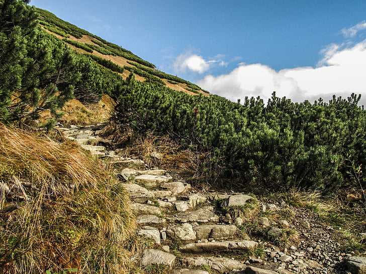 mountains, landscape, nature, travel, natural, mountain landscape, environment