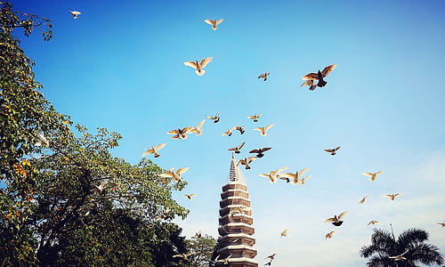 Xiamen, holub, Baita, scenérie