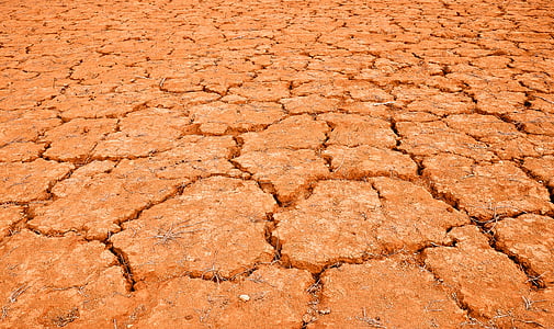 Desert, muda, kuiv, kuivatatud, elu ilma, krakitud, põud