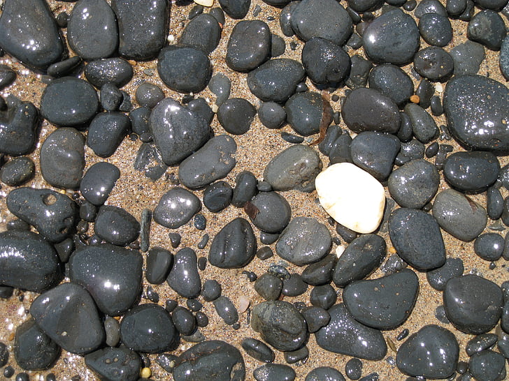 pedras, seixo, praia, plano de fundo, padrão, marrom, preto