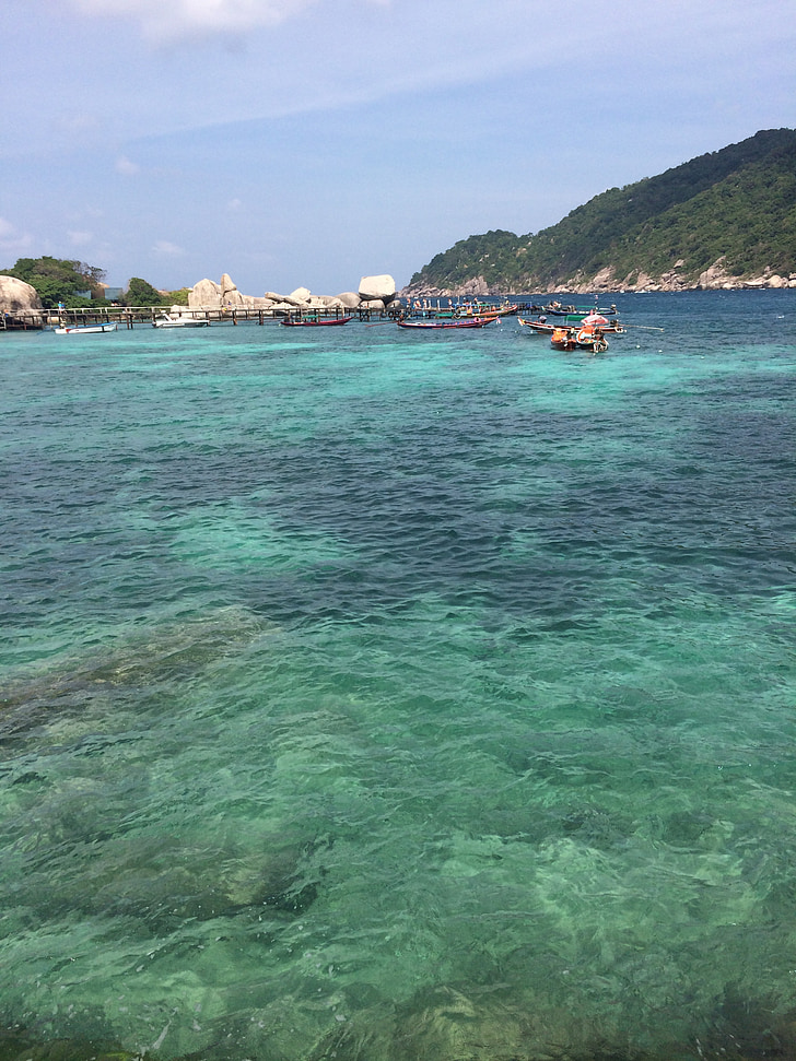 Tailandia, en Koh tao, Isla, mar, verano, agua, piedras