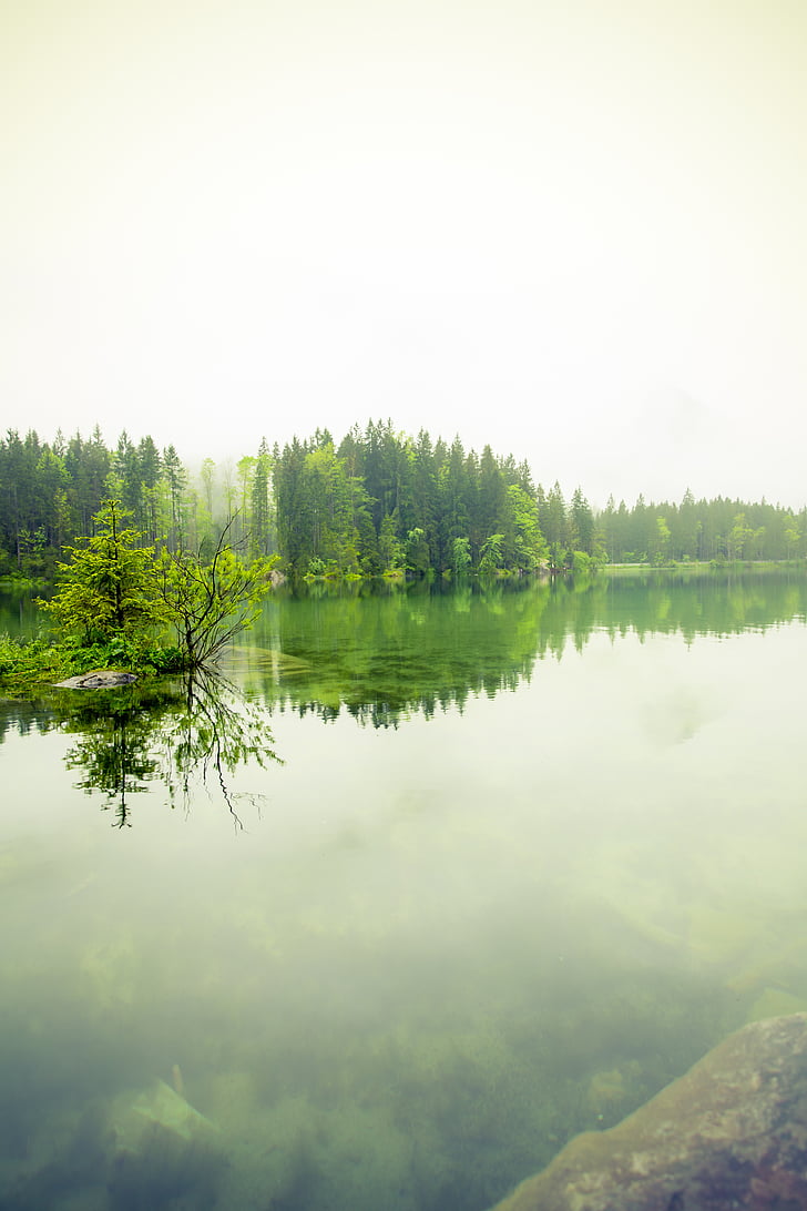 мъгла, гора, езеро, пейзаж, мъгла, природата, на открито