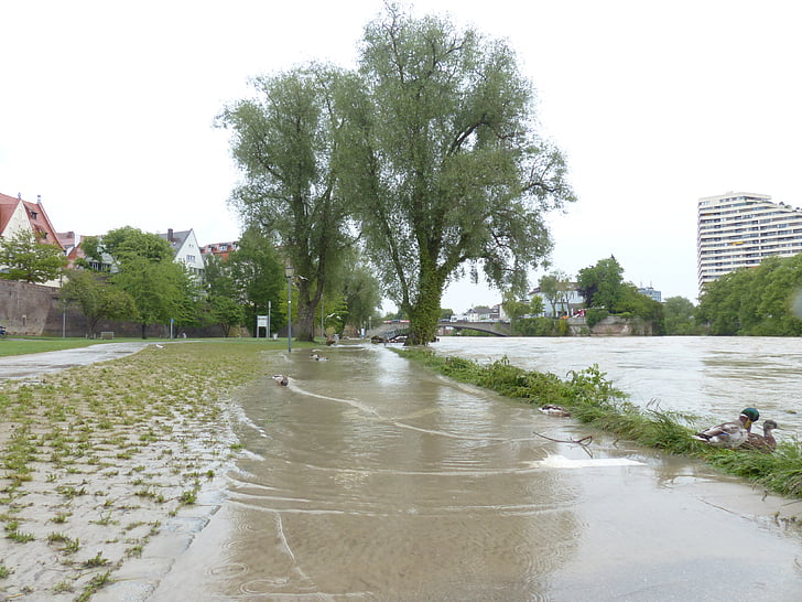 hoog water, Donau, Ulm, weg, uiterwaarden van de rivier, stadspark, overstroomd