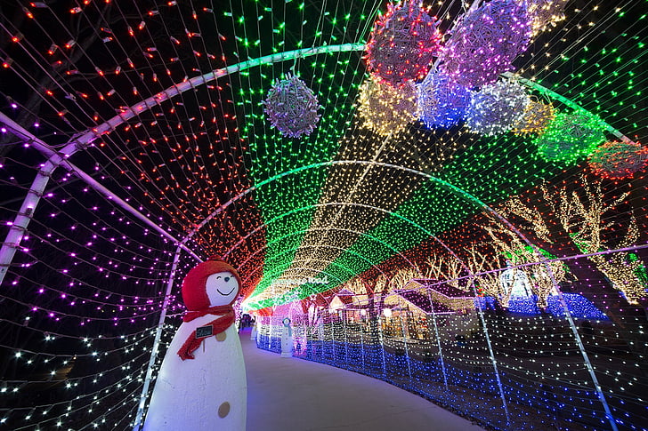 Festival de las luces, paisaje, luz, vista de noche, iluminación, árbol de Navidad, Navidad