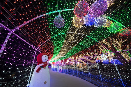 Festival de las luces, paisaje, luz, vista de noche, iluminación, árbol de Navidad, Navidad