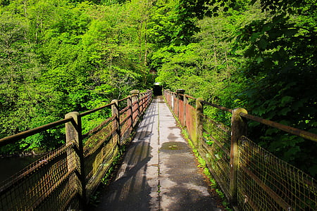 Podul, lemn, natura, peisaj, din lemn, turism, în aer liber