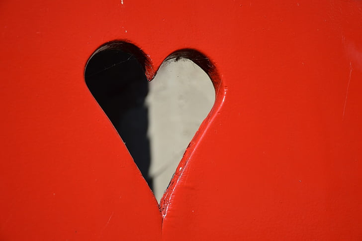 sirds, durvis, mīlu, sarkana, balta, melna, Valentīna